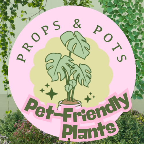 Pet Friendly Plants