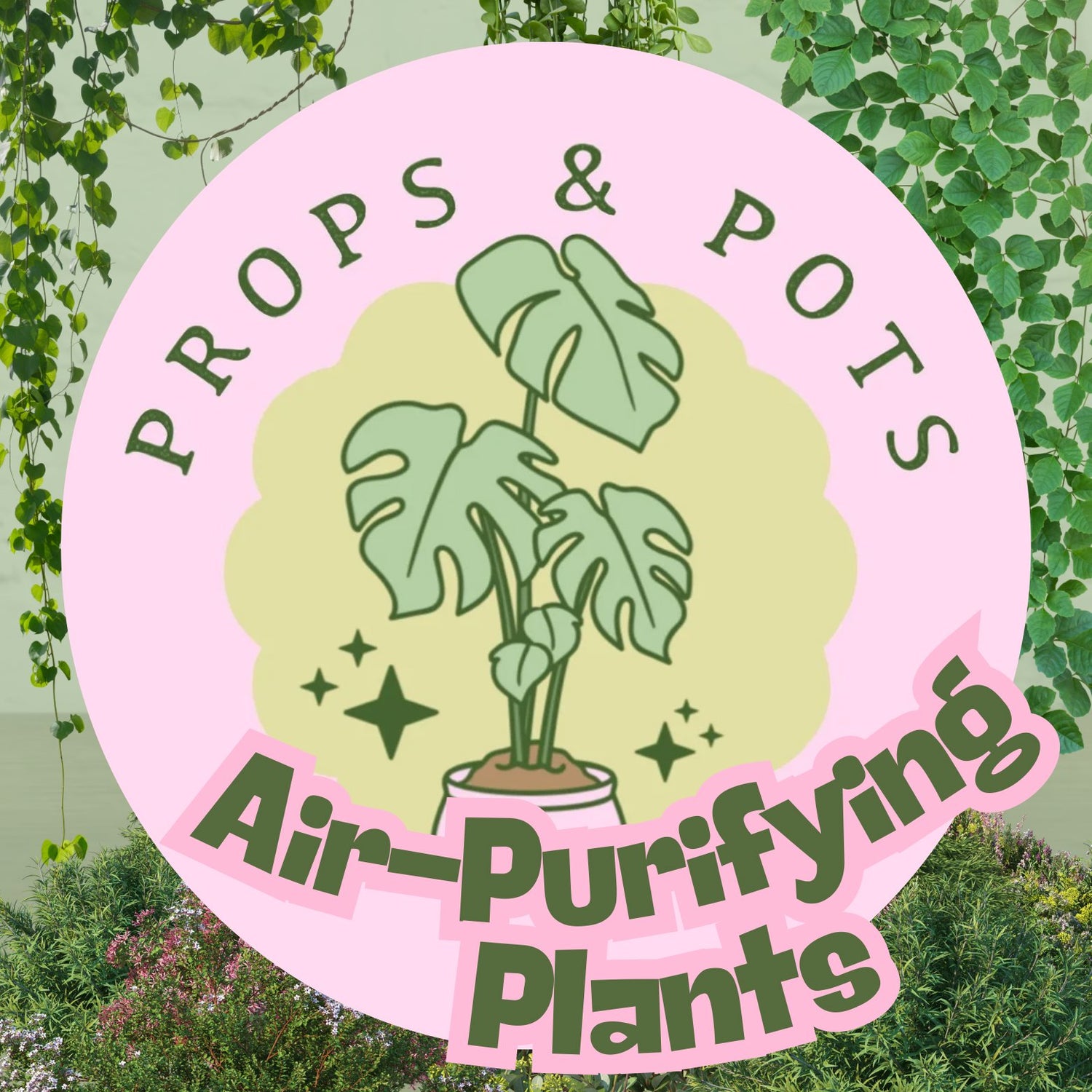 Air Purifying Plants